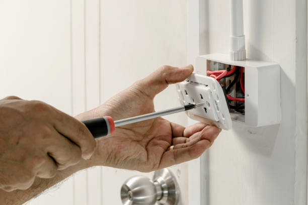 Best Electrical Panel Upgrades  in Roseland, OH